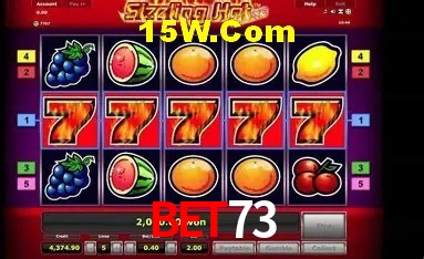 Bonus Features Bet73